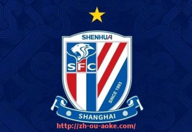 澳客足彩-火箭队总决赛经典比赛视频回放及技术分析