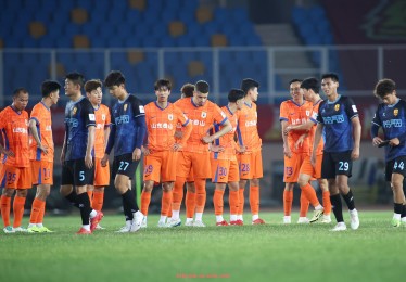 澳客足彩-德甲球队绰号的起源及文化含义解析