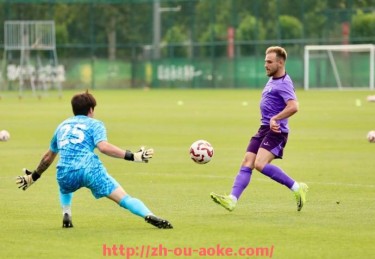 澳客足彩-法甲球员进攻数据分析及关键进球贡献统计