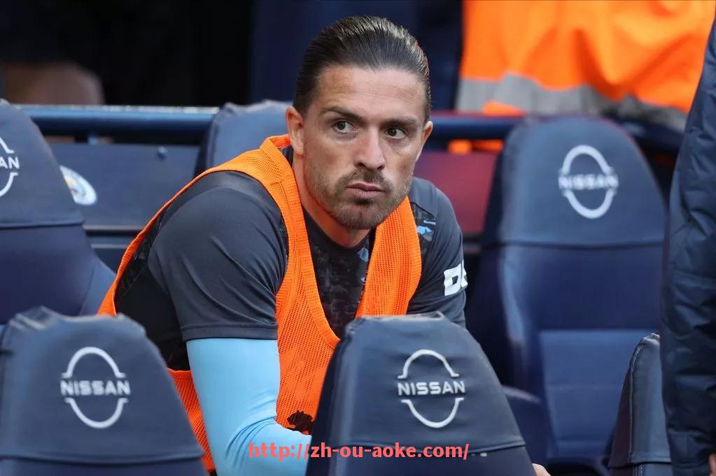 澳客足彩-世俱杯比赛录像直播渠道推荐，支持多语言字幕